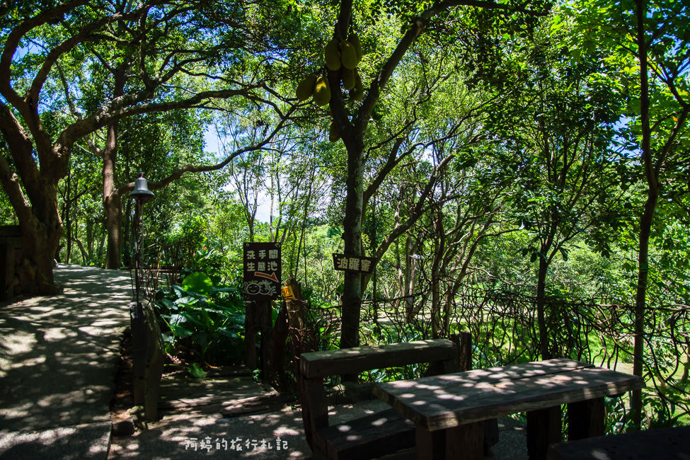 ｜嘉義景點｜金桔觀光工廠，免門票的親子旅遊景點 - 阿婷的旅行札記。