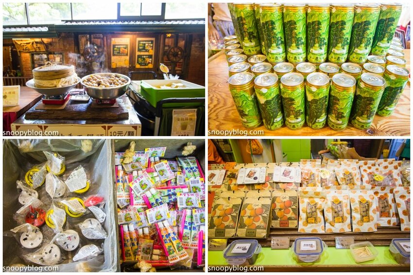 【嘉義親子景點】民雄金桔觀光工廠～嘉義免費親子景點，森林冒險溜滑梯遊戲區、小火車、金桔果醬DIY