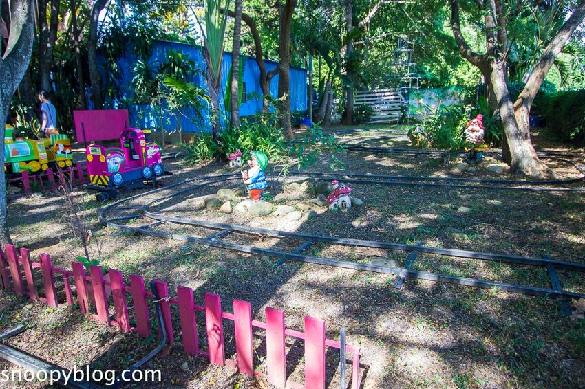 【嘉義親子景點】民雄金桔觀光工廠～嘉義免費親子景點，森林冒險溜滑梯遊戲區、小火車、金桔果醬DIY