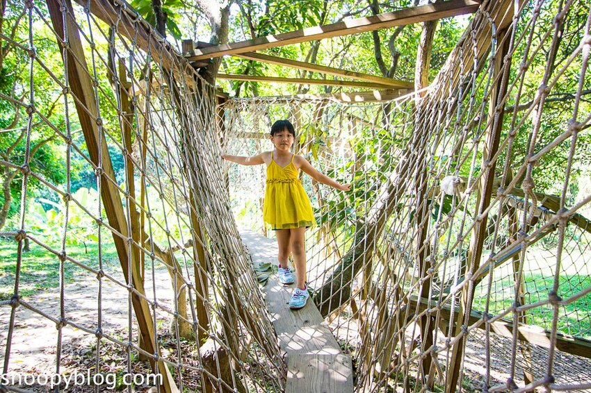 【嘉義親子景點】民雄金桔觀光工廠～嘉義免費親子景點，森林冒險溜滑梯遊戲區、小火車、金桔果醬DIY