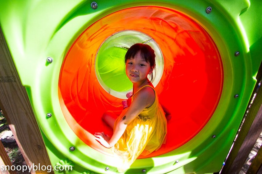 【嘉義親子景點】民雄金桔觀光工廠～嘉義免費親子景點，森林冒險溜滑梯遊戲區、小火車、金桔果醬DIY