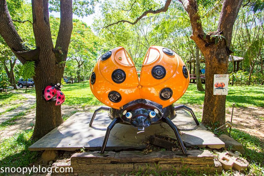 【嘉義親子景點】民雄金桔觀光工廠～嘉義免費親子景點，森林冒險溜滑梯遊戲區、小火車、金桔果醬DIY