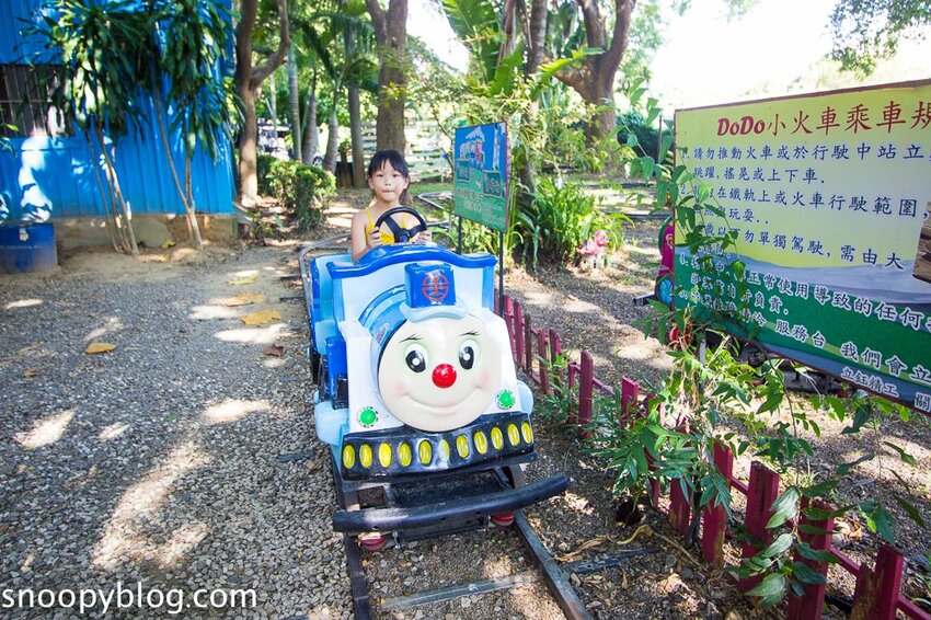 【嘉義親子景點】民雄金桔觀光工廠～嘉義免費親子景點，森林冒險溜滑梯遊戲區、小火車、金桔果醬DIY