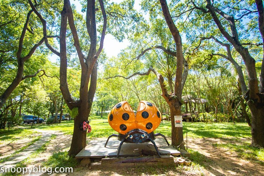 【嘉義親子景點】民雄金桔觀光工廠～嘉義免費親子景點，森林冒險溜滑梯遊戲區、小火車、金桔果醬DIY