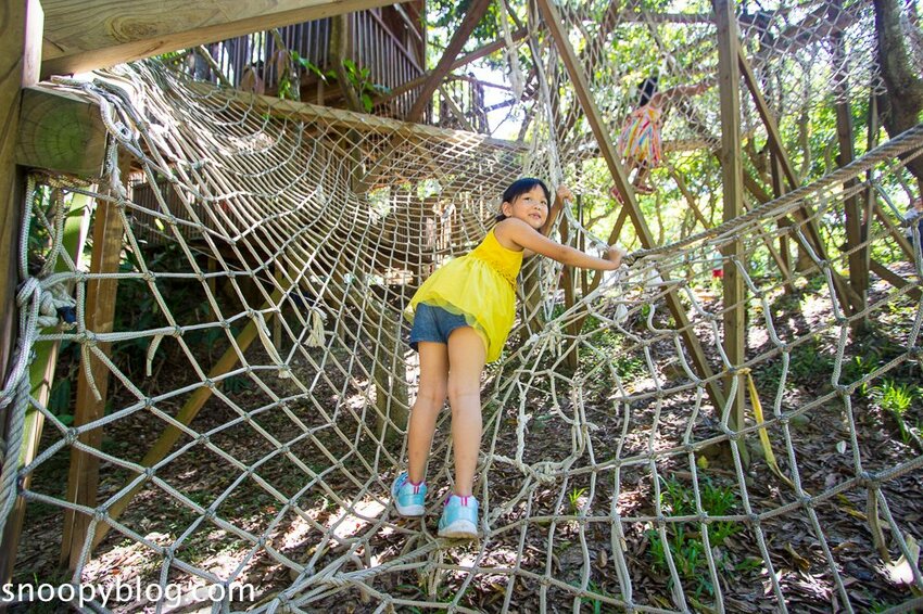 【嘉義親子景點】民雄金桔觀光工廠～嘉義免費親子景點，森林冒險溜滑梯遊戲區、小火車、金桔果醬DIY