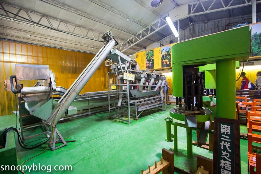 【嘉義親子景點】民雄金桔觀光工廠～嘉義免費親子景點，森林冒險溜滑梯遊戲區、小火車、金桔果醬DIY