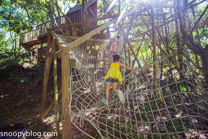 【嘉義親子景點】民雄金桔觀光工廠～嘉義免費親子景點，森林冒險溜滑梯遊戲區、小火車、金桔果醬DIY
