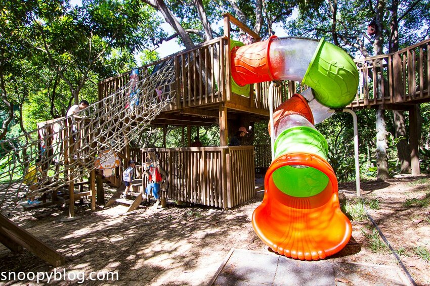 【嘉義親子景點】民雄金桔觀光工廠～嘉義免費親子景點，森林冒險溜滑梯遊戲區、小火車、金桔果醬DIY