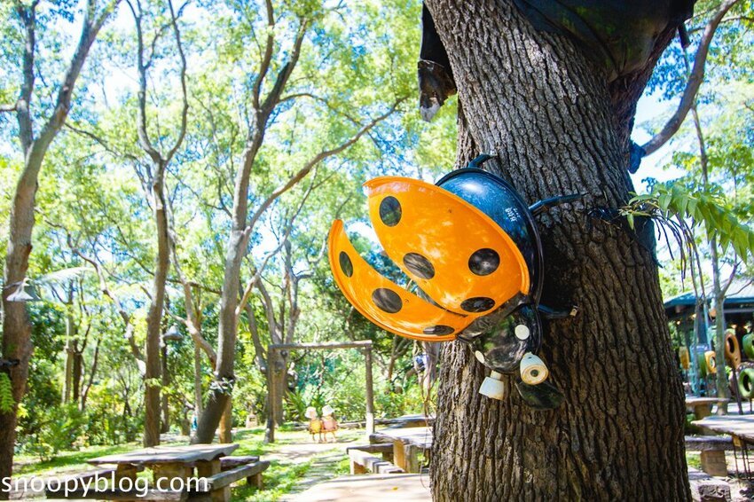 【嘉義親子景點】民雄金桔觀光工廠～嘉義免費親子景點，森林冒險溜滑梯遊戲區、小火車、金桔果醬DIY