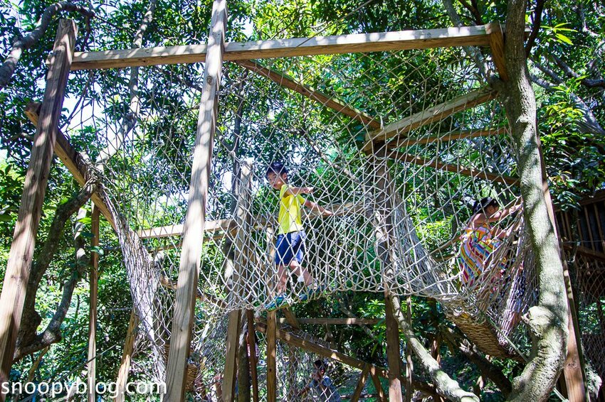 【嘉義親子景點】民雄金桔觀光工廠～嘉義免費親子景點，森林冒險溜滑梯遊戲區、小火車、金桔果醬DIY