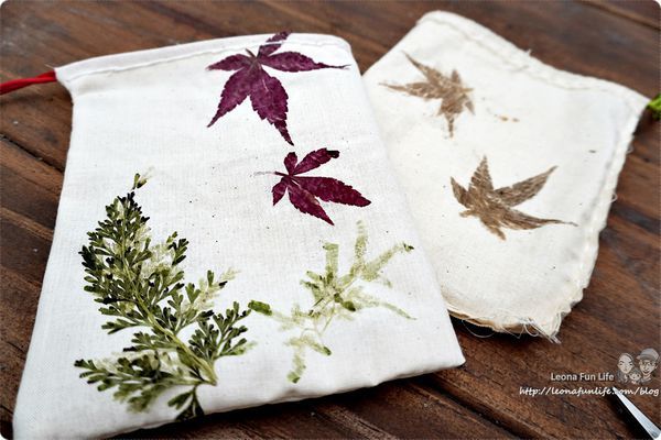 雙溪平林休閒農場 外雙溪農場 雙溪螢火蟲 山藥農場  新北市農場住宿 平林民宿 休閒農場住宿 賞蝶 新北市農場 生態導覽DSC04295.JPG