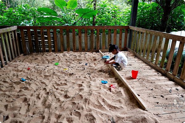 雙溪平林休閒農場 外雙溪農場 雙溪螢火蟲 山藥農場  新北市農場住宿 平林民宿 休閒農場住宿 賞蝶 新北市農場 生態導覽DSC04367.JPG