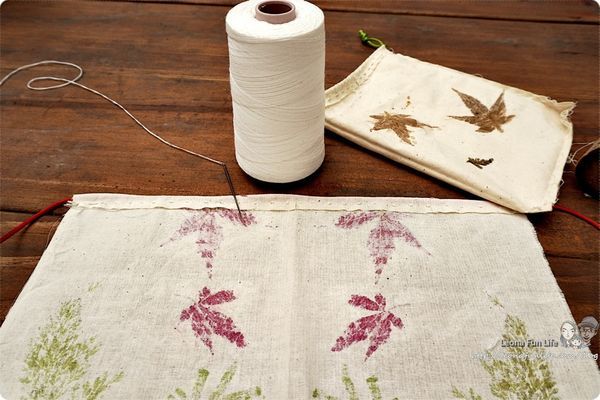 雙溪平林休閒農場 外雙溪農場 雙溪螢火蟲 山藥農場  新北市農場住宿 平林民宿 休閒農場住宿 賞蝶 新北市農場 生態導覽DSC04285.JPG