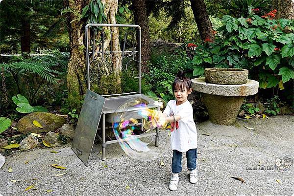 雙溪平林休閒農場 外雙溪農場 雙溪螢火蟲 山藥農場  新北市農場住宿 平林民宿 休閒農場住宿 賞蝶 新北市農場 生態導覽DSC04241.JPG