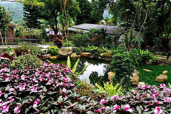 雙溪平林休閒農場 外雙溪農場 雙溪螢火蟲 山藥農場  新北市農場住宿 平林民宿 休閒農場住宿 賞蝶 新北市農場 生態導覽DSC04328.JPG