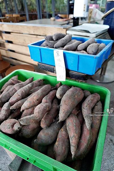 雙溪平林休閒農場 外雙溪農場 雙溪螢火蟲 山藥農場  新北市農場住宿 平林民宿 休閒農場住宿 賞蝶 新北市農場 生態導覽DSC04447.JPG