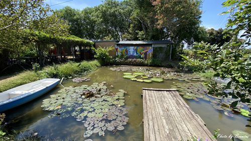 0719 2-林家古厝26.jpg