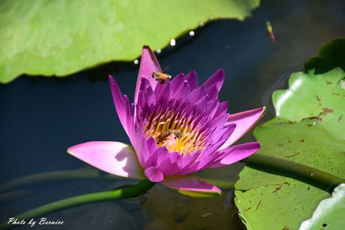 0719 2-林家古厝06.jpg