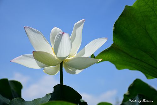 0719 2-林家古厝25.jpg