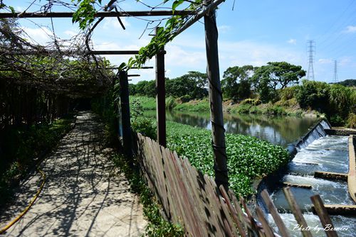 0719 2-林家古厝14.jpg