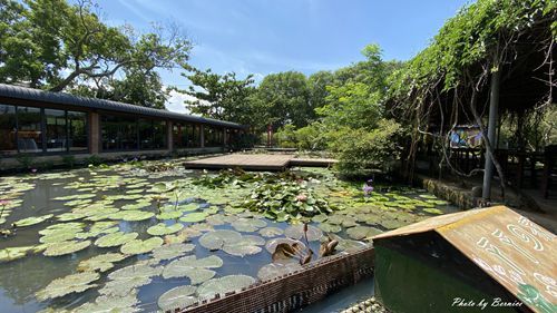 0719 2-林家古厝27.jpg