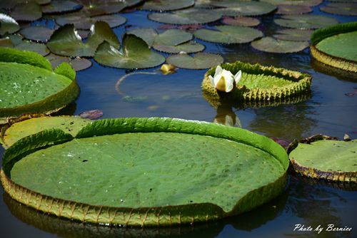 0719 2-林家古厝07.jpg