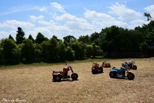 0719 2-林家古厝13.jpg