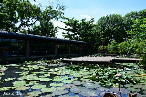 0719 2-林家古厝20.jpg