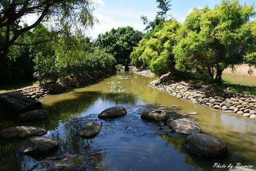 0719 2-林家古厝15.jpg