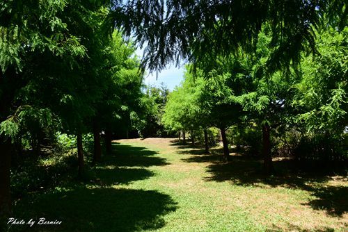 0719 2-林家古厝18.jpg