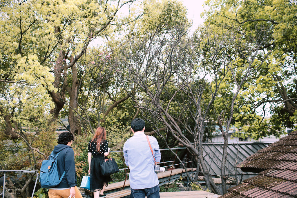 後山的野餐紀實 後山的野餐紀實