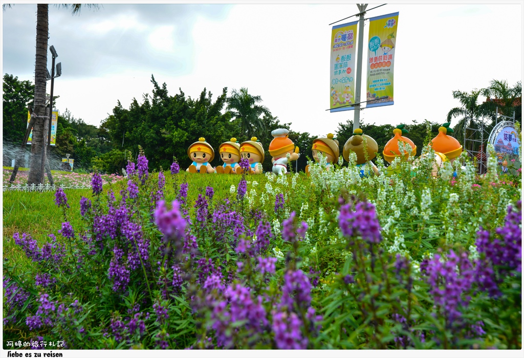 DSC_8702.jpg DSC_8702.jpg