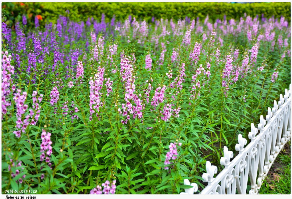 DSC_8707.jpg DSC_8707.jpg