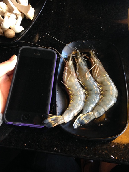 馬辣頂級麻辣鴛鴦火鍋(復興店)：馬辣頂級麻辣鴛鴦火鍋(復興店)♥ 吃到飽火鍋 ♥ 哈根達絲16種口味吃到飽