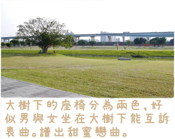 大台北都會公園11 大台北都會公園11