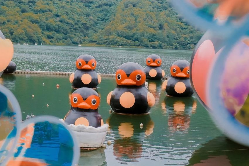 2020紅面鴨FUN暑假