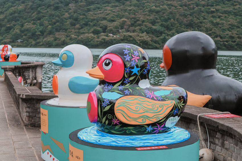 2020紅面鴨FUN暑假