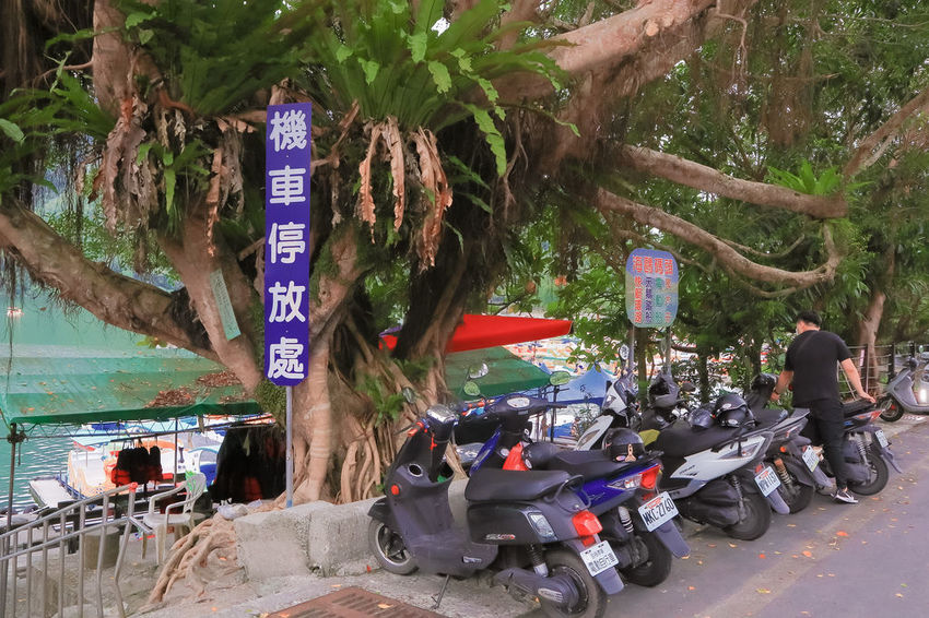 2020紅面鴨FUN暑假