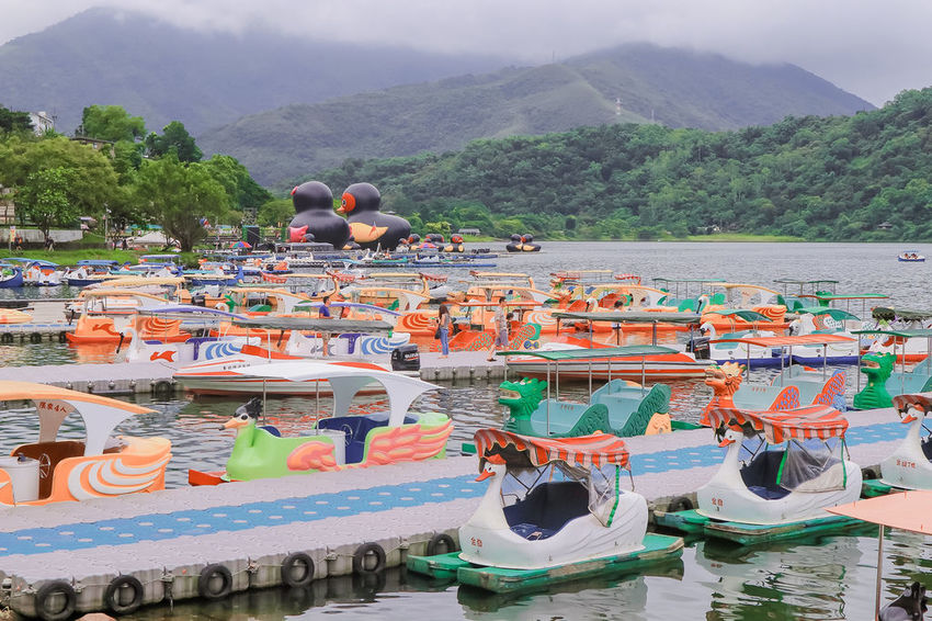 2020紅面鴨FUN暑假