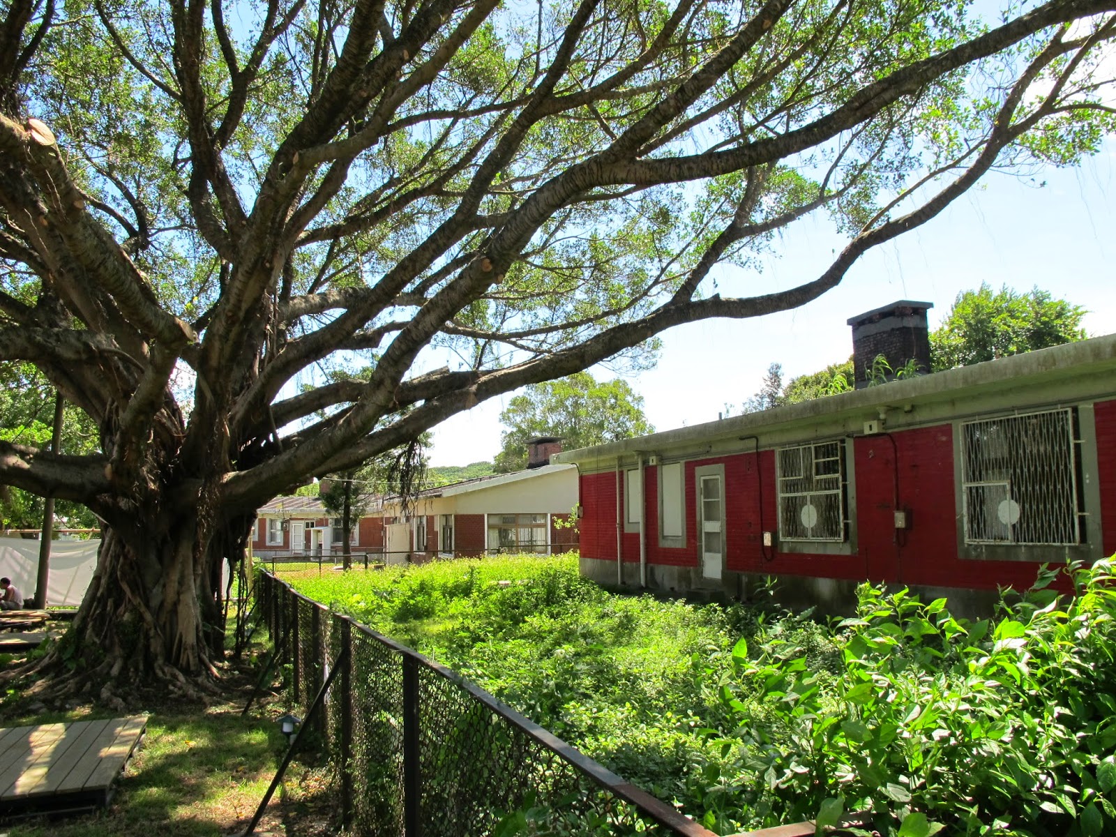 亞尼克夢想村1號店。陽明山上野餐風情