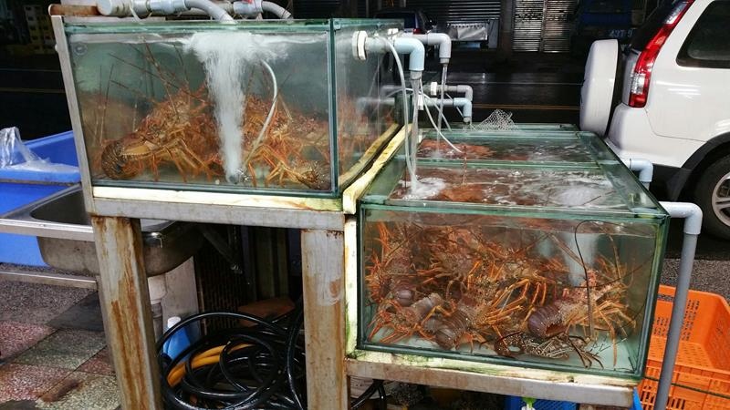 20160417黑白毛_7402 (Copy).jpg