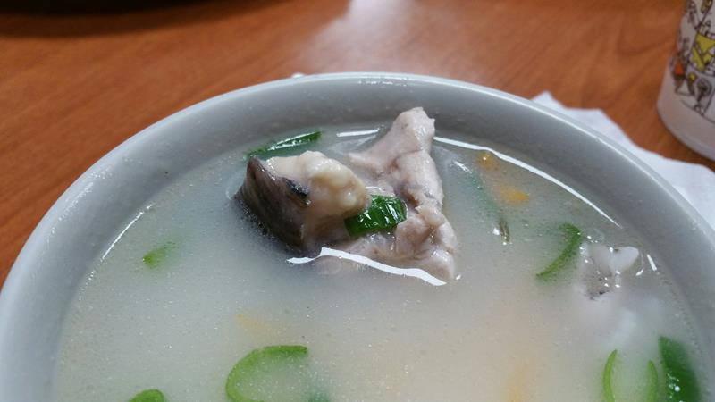 20160417黑白毛_3481 (Copy).jpg