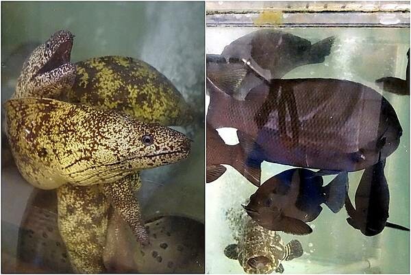 養殖1.jpg 養殖1.jpg