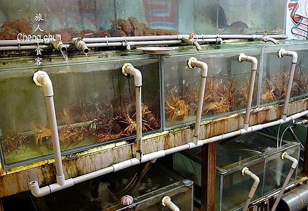 養殖.jpg 養殖.jpg