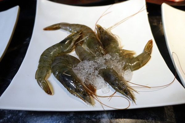 辛殿att 4 fun (37).jpg