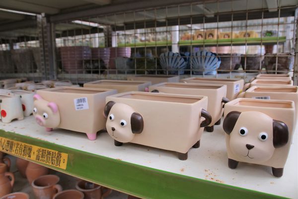 南靖糖廠休閒園區:【嘉義水上景點】台糖南靖糖廠休閒廣場~懷舊冰品好便宜,坐火車看飛機,遊樂設施遛孩子去