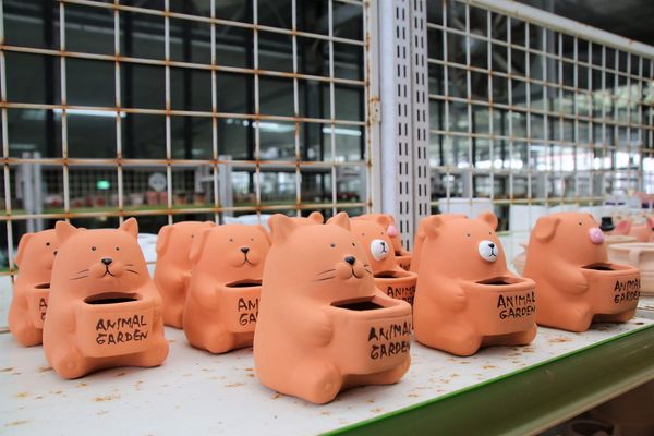 南靖糖廠休閒園區:【嘉義水上景點】台糖南靖糖廠休閒廣場~懷舊冰品好便宜,坐火車看飛機,遊樂設施遛孩子去