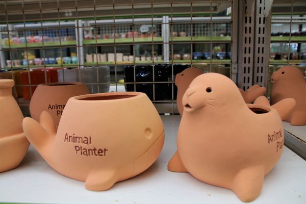 南靖糖廠休閒園區:【嘉義水上景點】台糖南靖糖廠休閒廣場~懷舊冰品好便宜,坐火車看飛機,遊樂設施遛孩子去