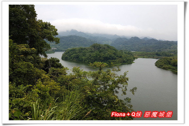 【苗栗一日遊】花露農場+鯉魚潭+草莓文化館+仙山仙草+泉明蠶生態農場+清安豆腐老街+汶水遊客中心，趴趴走的一天 !