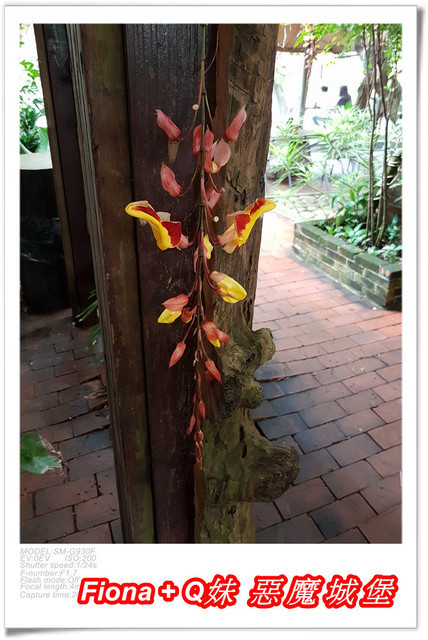 【苗栗一日遊】花露農場+鯉魚潭+草莓文化館+仙山仙草+泉明蠶生態農場+清安豆腐老街+汶水遊客中心，趴趴走的一天 !